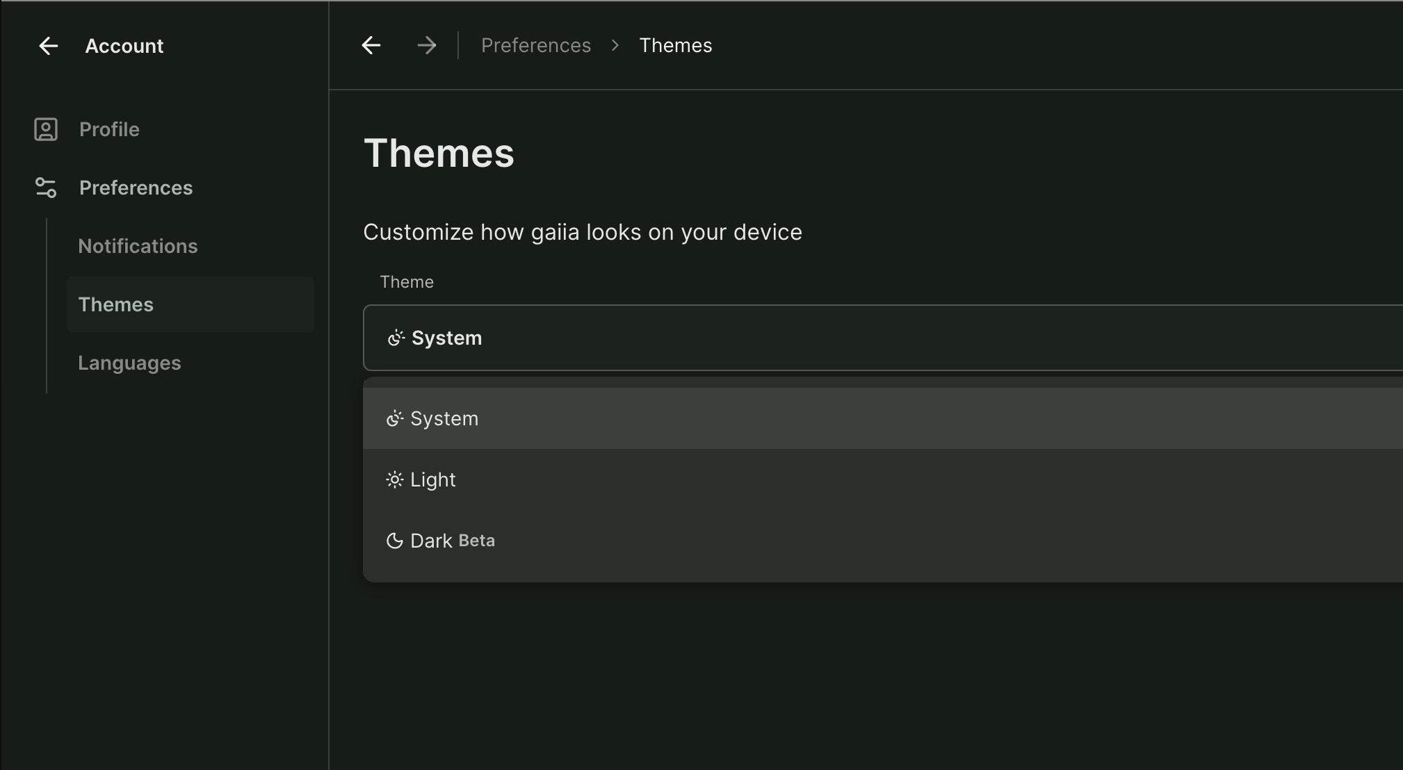 Themes preferences with the System, Light, and Dark options
